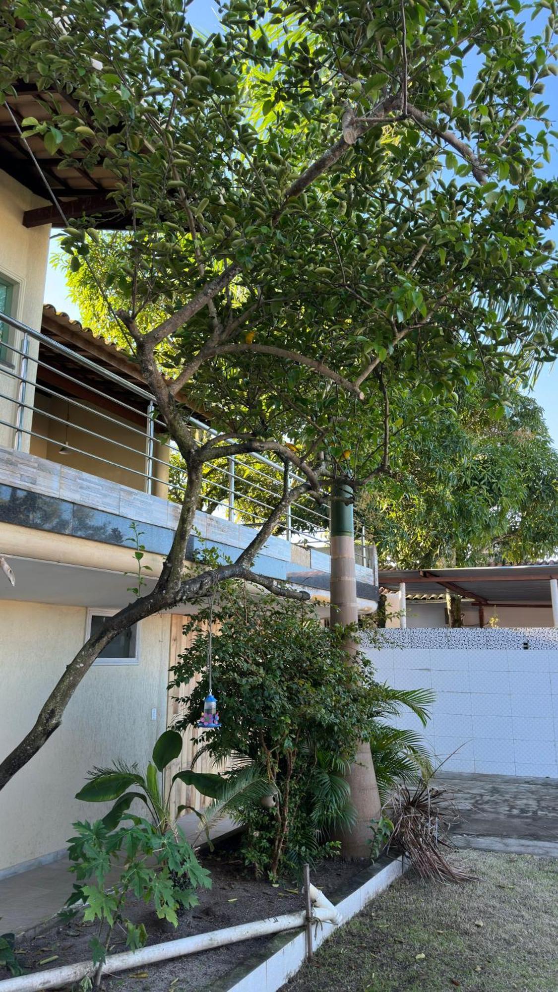 Holiday home Casa Em Porto - Casa Beija Flor *
